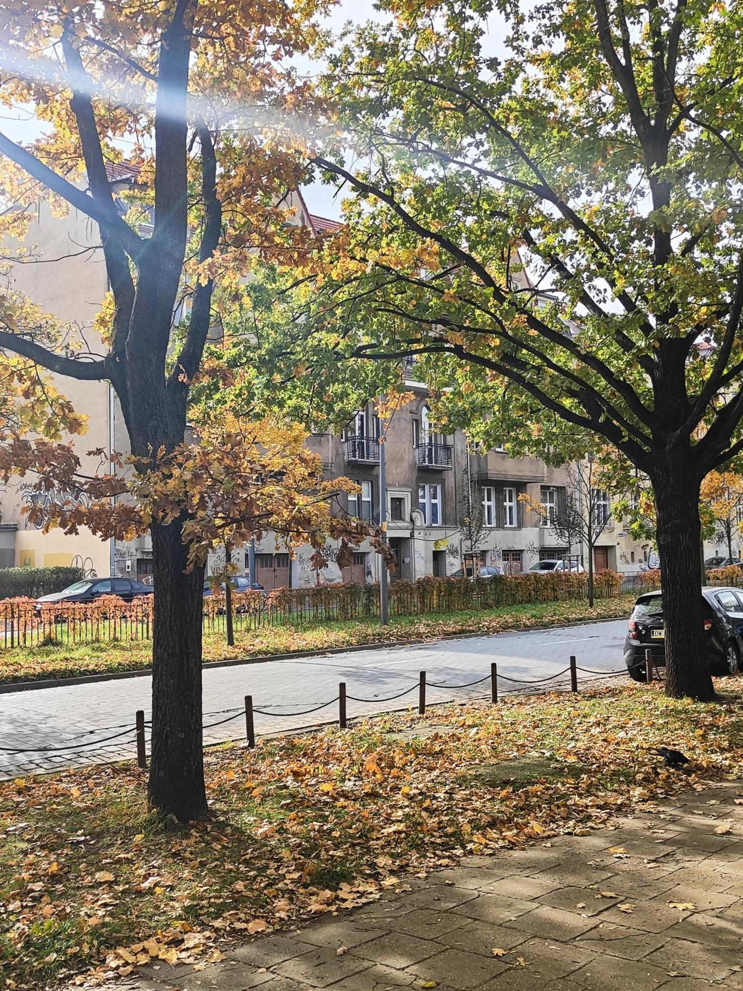 Apartament Stylowa Kamienica Wrocław Buitenkant foto
